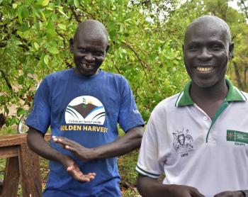 Refugee farmers, Andrew and David producing a golden harvest